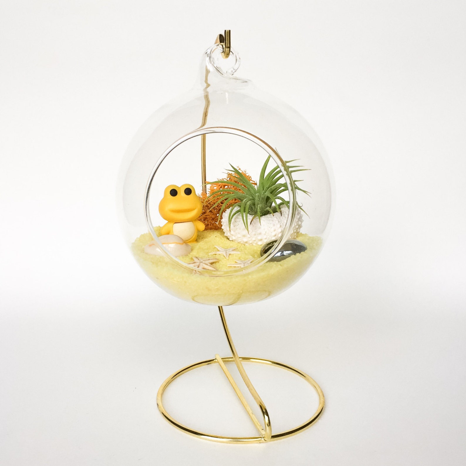 Yellow Frog Terrarium Kit Etsy