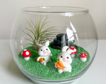 Funny Bunny Terrarium Kit