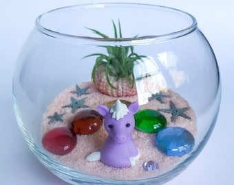 Pride Terrarium Kit