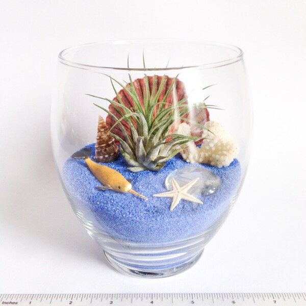 Narwhal Terrarium Kit