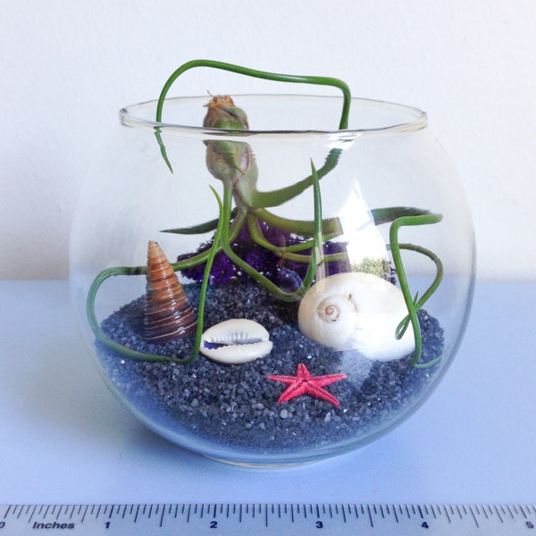 Poor Unfortunate Souls Terrarium Kit