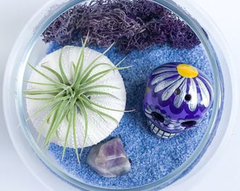 The Calavera Series: Enamorado con Morado Terrarium Kit