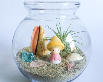 The Shroomin' Series: Beach Terrarium Kit