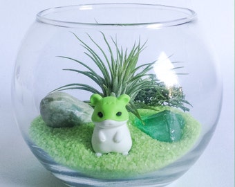 Green Hamster Terrarium Kit