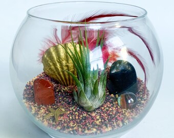 Fenix Terrarium Kit