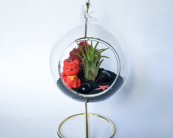The Maneki-neko Series: Red and Black Terrarium Kit