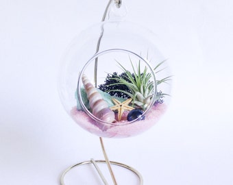 The Mako Series: Sirena Terrarium Kit