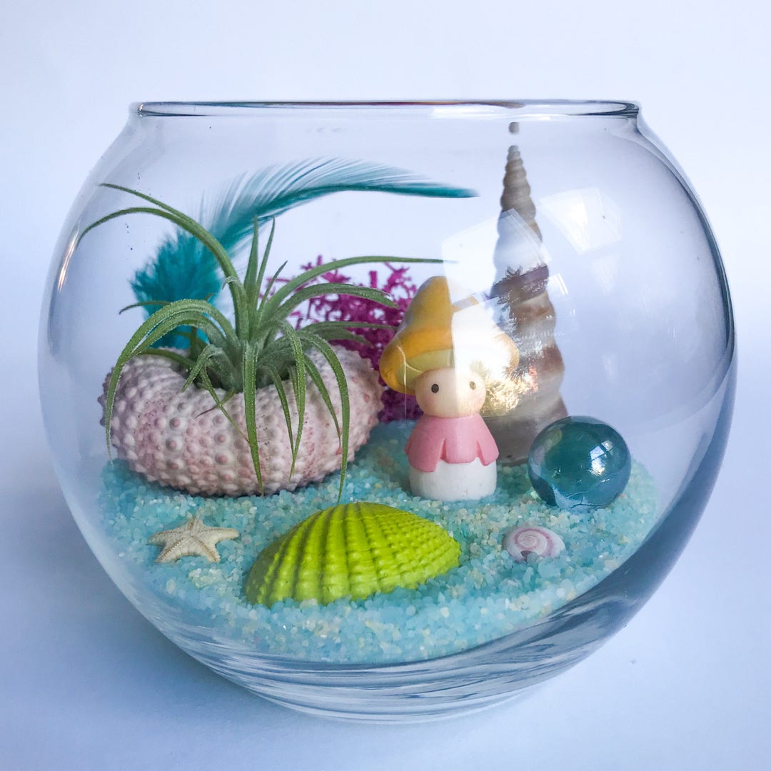 The Shroomin' Series Psilocybin Terrarium Kit Etsy