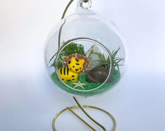 The Safari Series: Tiger Terrarium Kit