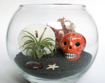 The Calavera Series: La Misma Luna Terrarium Kit