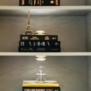 May include: A bookshelf with a collection of books, including "Dune", "Pathfinder", "World Without End", and "Captain's Blood". A small Eiffel Tower figurine sits on the shelf above the books.