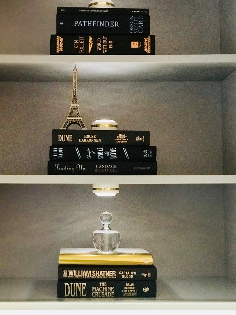 May include: A bookshelf with a collection of books, including "Dune", "Pathfinder", "World Without End", and "Captain's Blood". A small Eiffel Tower figurine sits on the shelf above the books.