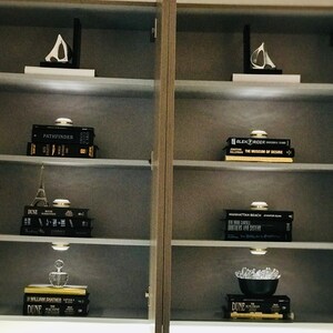 May include: A set of black bookshelves with decorative objects, including a white ceramic sculpture, a small Eiffel Tower, a glass bottle, and a bowl of crystals. The bookshelves are lit with LED lights. The books have titles such as "Dune", "Pathfinder", "The Museum of Desire", and "Manhattan Beach".