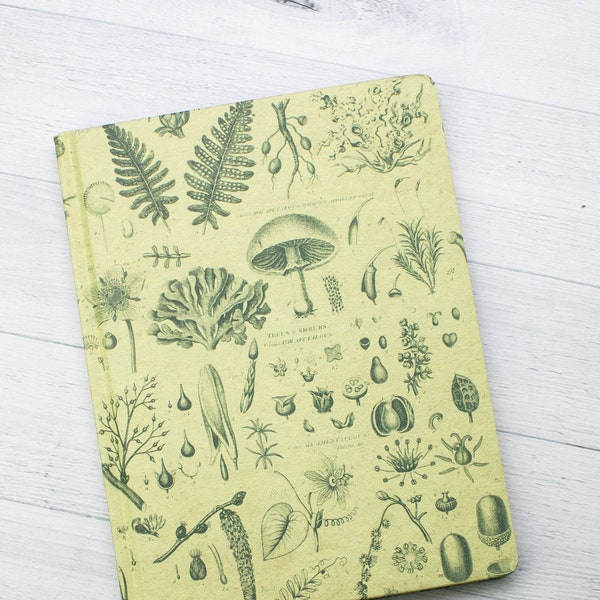 Botanical Print Notebook - Hardcover | Science Notebook, Botany, Ecology, Recycled Notebook
