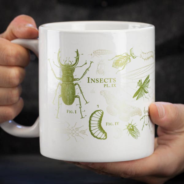 Insect Mug 20 oz | Science Mug, Professor Gift, Entomology Mug, PhD Mug