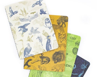 Carnivores Pocket Notebooks Set of 4 | Science Notebook, Ecology, Recycled Notebook, Biology Gifts