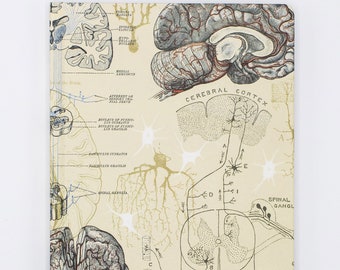 Gehirn Anatomie Hardcover Notizbuch | Zukünftiger Arzt, Medizinstudent Geschenk, Graph Papier Notizbuch