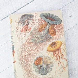 Jellyfish Print Notebook - Hardcover | Biology Gifts, Marine Biology, Haeckel