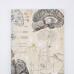 Brain Softcover Notebook | Neuroscience, Nursing Student Gift, Medical Student Gift