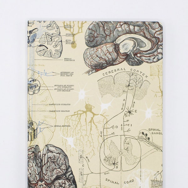 Brain Anatomy Hardcover Notebook | Future Doctor, Medical Student Gift, Graph Paper Notebook