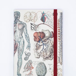 Anatomy A5 Notebook - Softcover | Medical Student Gift, Anatomy Gift, Future Doctor, Future Nurse