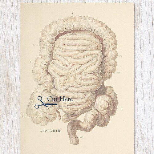 Get Well Medicinal Botany Card Botanist Gift Biology Etsy