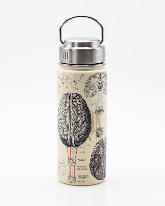 Brain Mug 20 oz | Cognitive Surplus