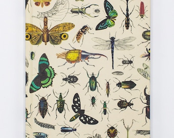 Insects, Butterflies & Beetles Hardcover Notebook | Garden Journal, Biology Gifts, Entomology Notebook