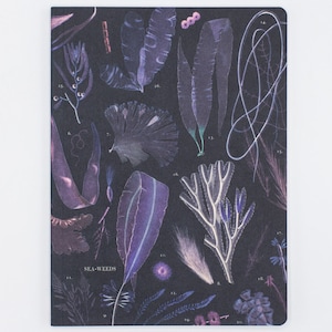 Seaweed Softcover Notebook |Botany, Ecology, Recycled Notebook, Marine Biology, Lined Paper Notebook