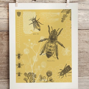 May include: A vintage print with detailed illustrations of bees, including queen, worker, and drone bees, set against a mustard yellow background. The print also features botanical elements and honeycomb patterns.