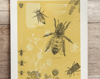 Honey Bee Print, Biology Art, Biology Gift, Insect Print