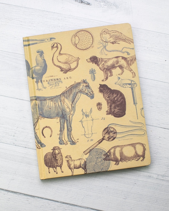 Cuaderno veterinario Tapa dura / Diario veterinario, Regalo veterinario,  Cuaderno de animales, Cuaderno reciclado, Cuaderno de papel gráfico - Etsy  España