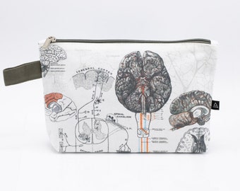 Brain Anatomy Pencil Bag | Brain, Anatomy, Psychology, Toiletry Bag, Makeup Bag, Travel Bag, Pencil Case, College Student Gift