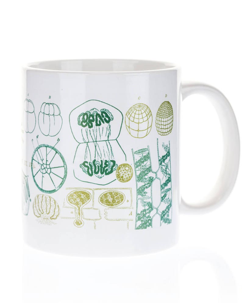 чашка биологическая. кружка биология. дизайнерские кружки бело зеленые. биологический кружок. биологические кружки.