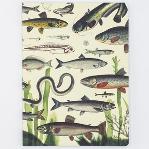 Freshwater Fish Softcover Notebook - Softcover | Recycled Notebook, Marine Life, Scientific Illustration, Biology Gifts