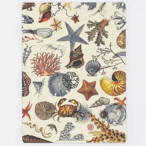Shallow Seas Plate 2 Softcover Notebook | Seashells, Ecology Marine Life, Climate Change