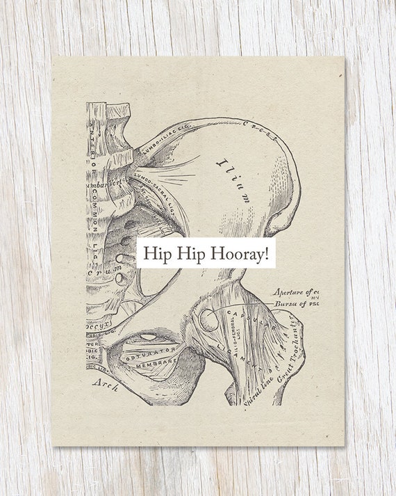 Hip Hip Hooray Skeleton Card Medical Graduation Card Etsy