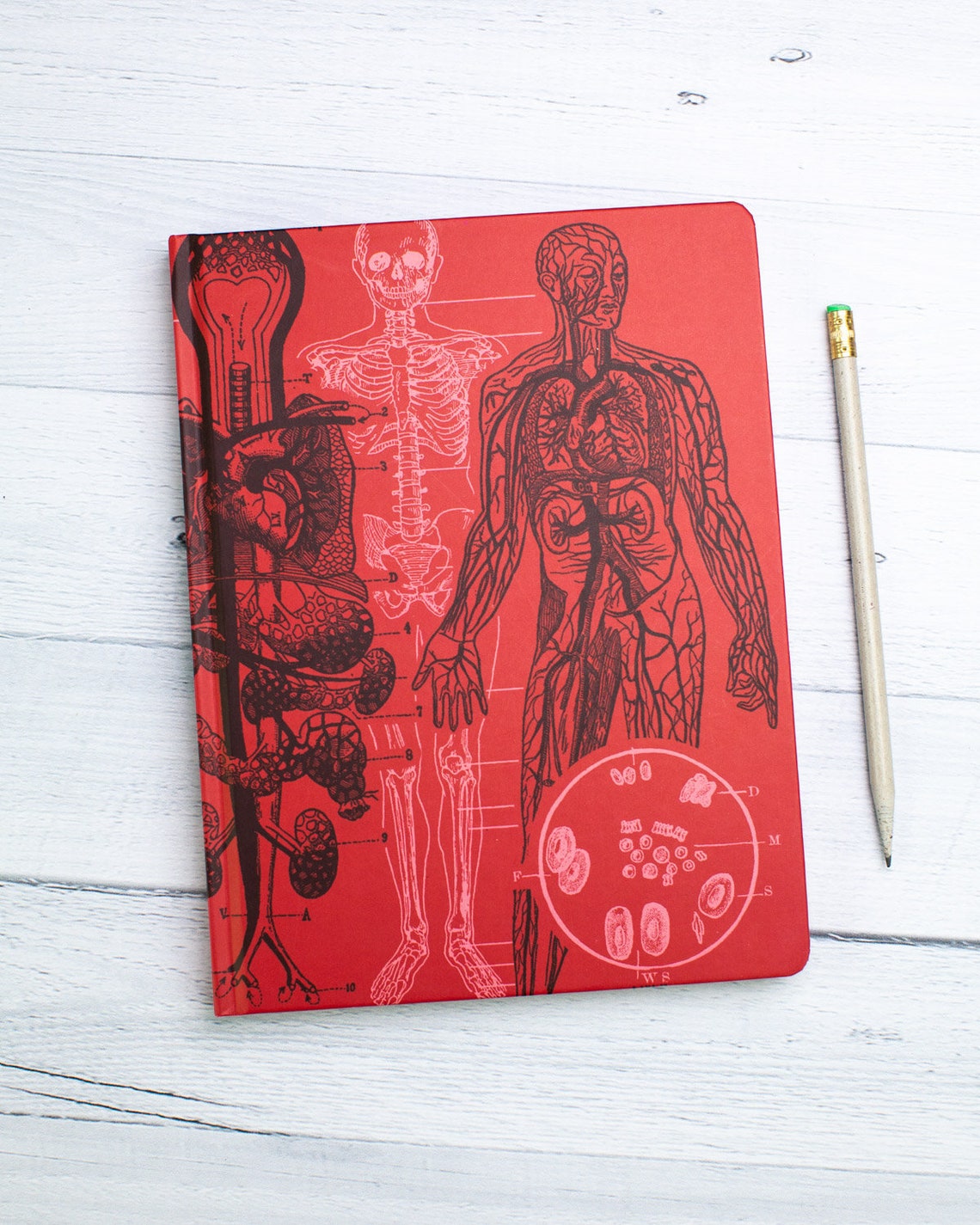 Anatomy Journal Dotted Journal Future Doctor Medical Etsy