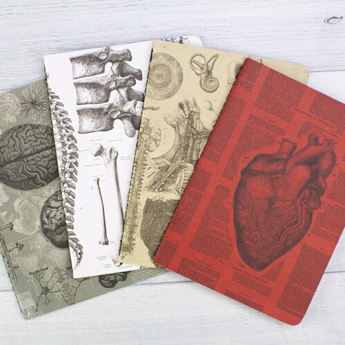 Anatomy Pocket Notebooks Set of 4 | Nursing Student Gift, Medical Student Gift, Nurse Appreciation, Pharmacist Gift