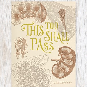 Kidney: This Too Shall Pass Card | Human Biology Gift, Biology Gifts, Professor Gift, Kidney Print