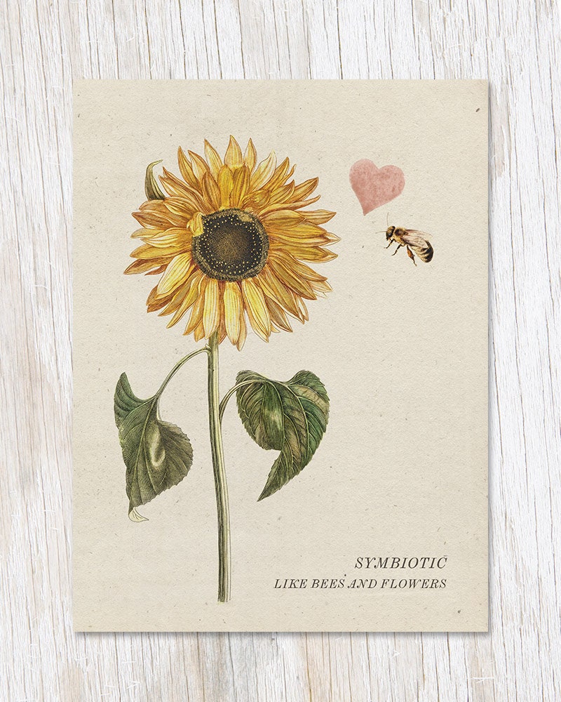 Simbiótico como abejas y flores / Regalo botánico Regalos de - Etsy México