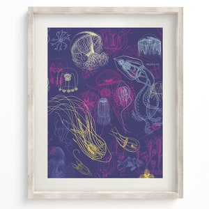 May include: A framed print featuring a detailed illustration of various jellyfish species in shades of yellow, pink, and blue against a deep purple background. The word "MEDUSAL" is visible. The artwork is encased in a light-colored wooden frame.