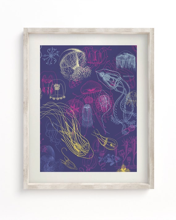 Jellyfish Museum Print, Jellyfish Print, Marine Biology, Biology Gift