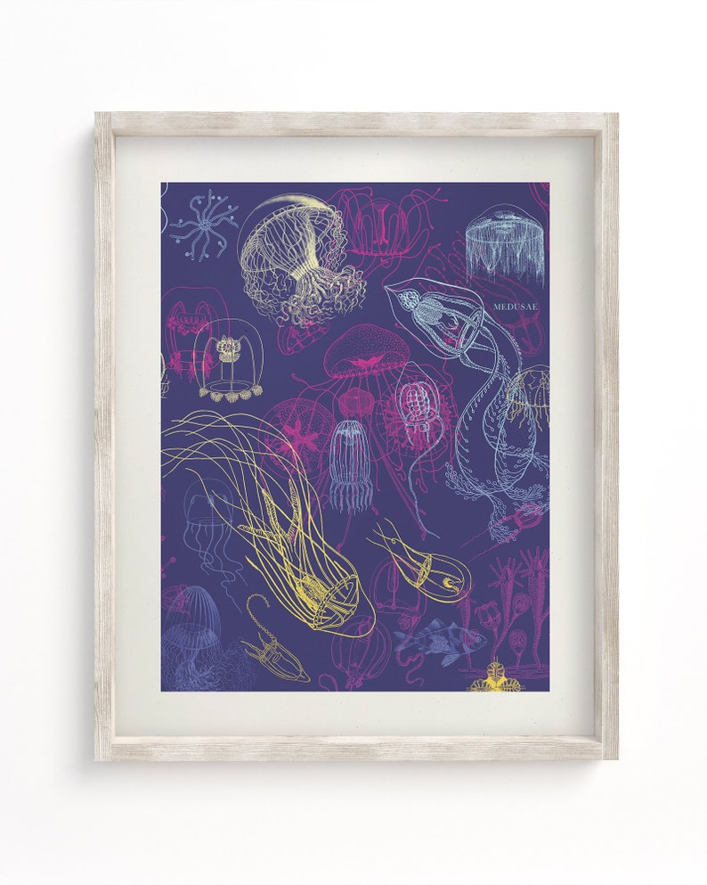 May include: A framed print featuring a detailed illustration of various jellyfish species in shades of yellow, pink, and blue against a deep purple background. The word "MEDUSAL" is visible. The artwork is encased in a light-colored wooden frame.
