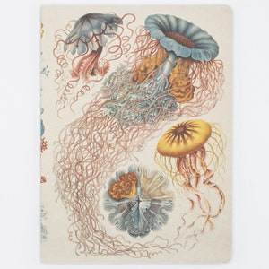 Haeckel Jellyfish Softcover | Marine Biology Gifts, Marine Life, Scientific Illustration