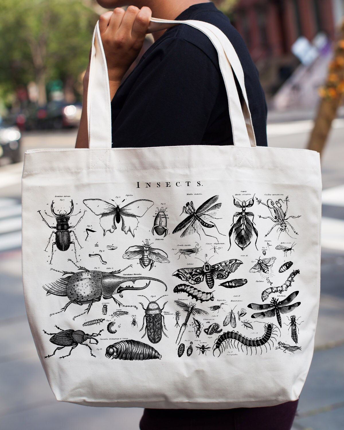 Insects Tote Bag Entomology Grocery Bag Illustrated Bug Etsy
