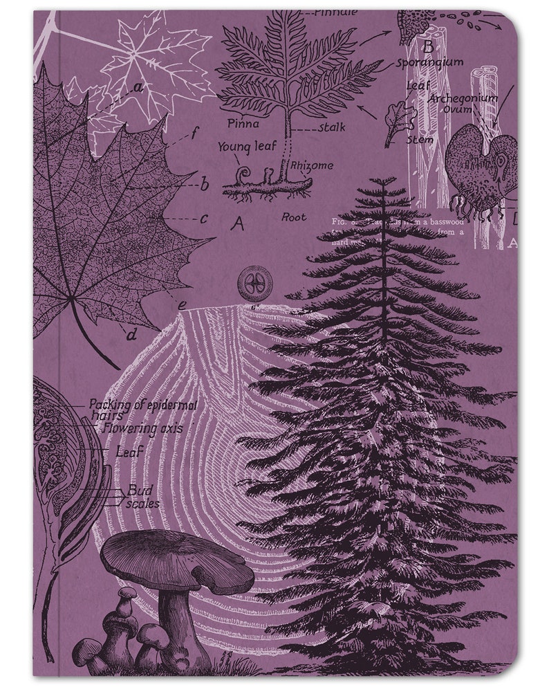 Tree Notebook Softcover Hiking Journal Recycled Notebook Etsy