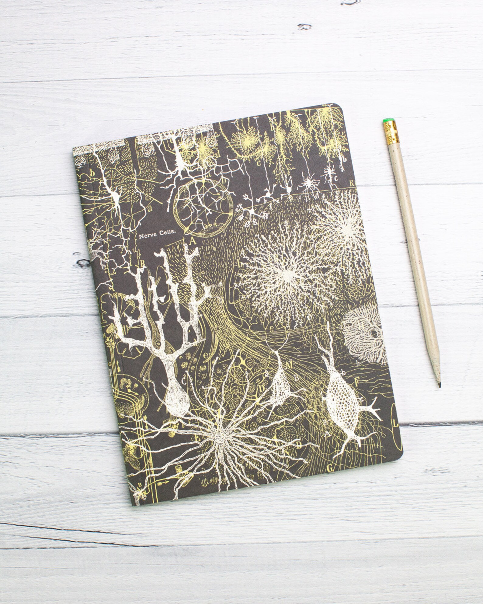 Neuron Softcover Notebook Brain Notebook Neuroscience - Etsy