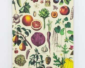 Fruits & Vegetables Hardcover | Garden Journal, Medicine Gift, Chemistry Gift