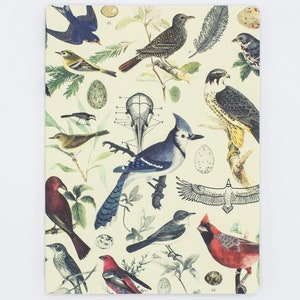 Birds Softcover Notebook | Botanical Print Journal, Biology Gifts